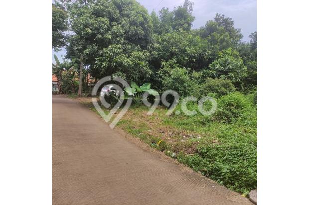 Tanah Area Cileungsi Lingkungan Nyaman Bebas Polusi