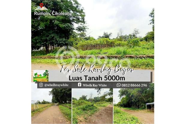 Kavling MURAH  di Cikoleang, Bogor Luas Tanah 5000m hanya 1 Juta/m Nego