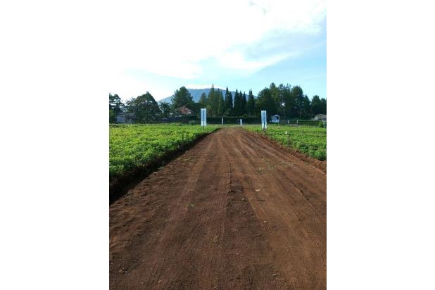 Green Mountville Megamendung Puncak Bogor