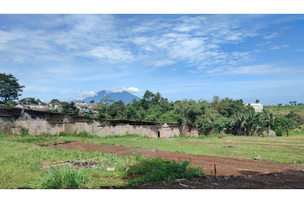 Green Mountville Megamendung Puncak Bogor
