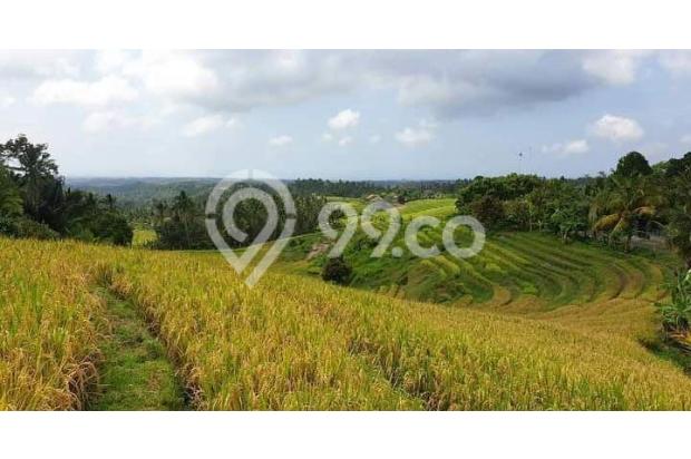 20 Are Rice Field View Land And Mountain View In Tabanan