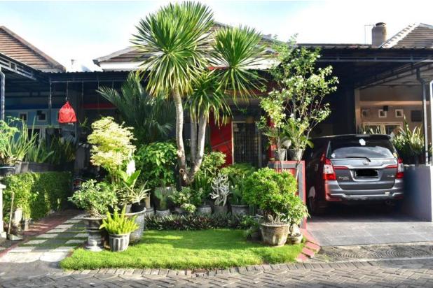 taman dhika