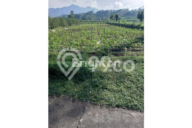 SANGAT ASRI DANBISA BUAT VILA ATAU RUMAH PRIBADI IDAMAN