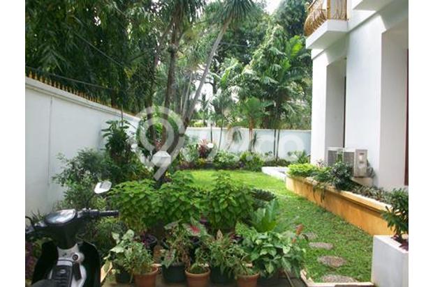 light house, large size room. Nice greeny garden at quiet area