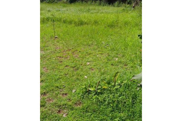 Disewakan Cepat Tanah Strategis area Ampera