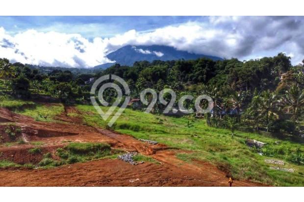 Tanah murah legalitas SHM di puncak bogor jawa barat