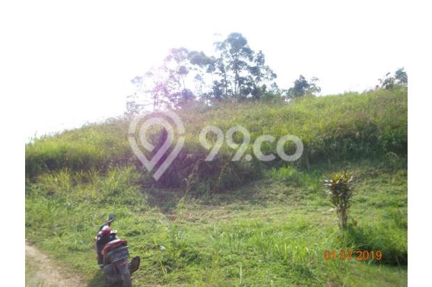 Tanah 1 hektar lebih cocok untuk perumahan