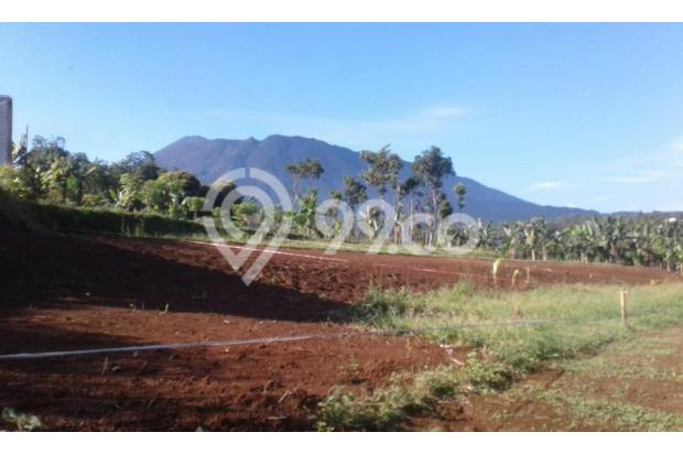 Dijual Tanah Mountain View Megamendung Puncak Bogor Shm Nego