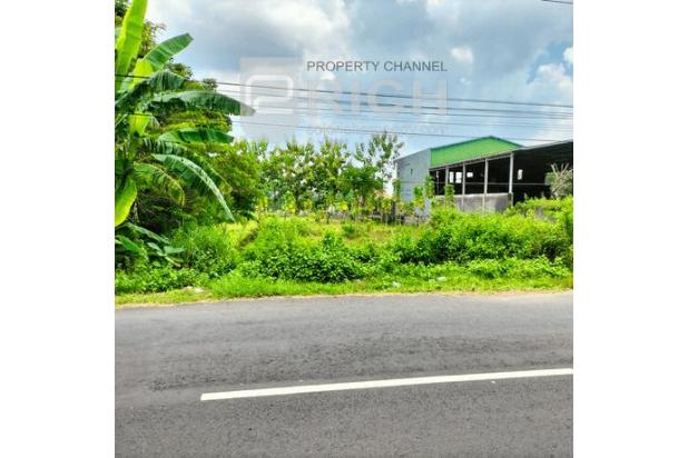 Tanah Tepi Jalan di Polokarto Bisa Dibeli Separuh