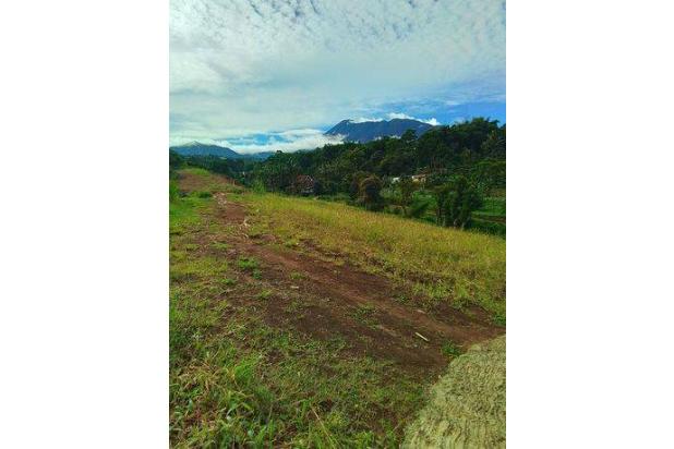 Tanah di jual 600 SHM m² cisarua puncak bogor jawa barat