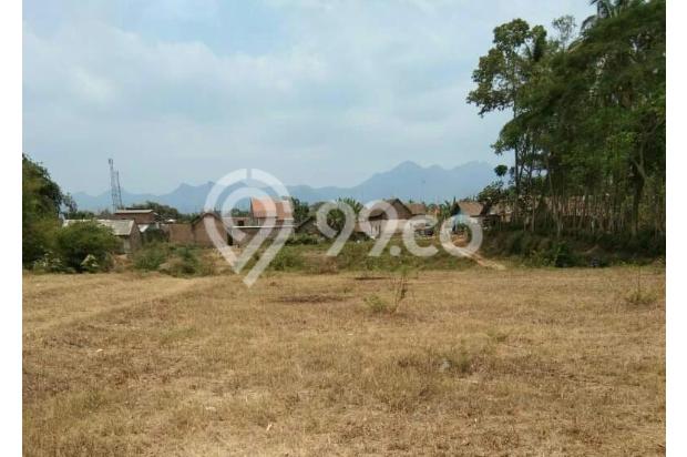 Tanah ladang luas siap untuk pertanian atau dibangun perumahan