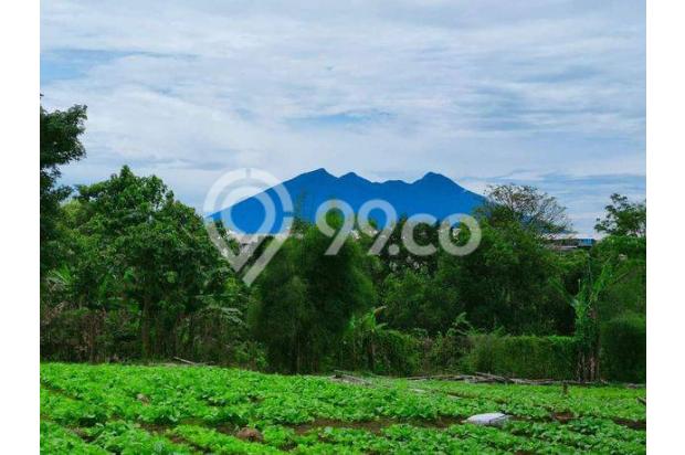 DIJUAL TANAH VIEW GUNUNG PINGGIR JALAN ALTERNATIF PUNCAK BOGOR MURAH 