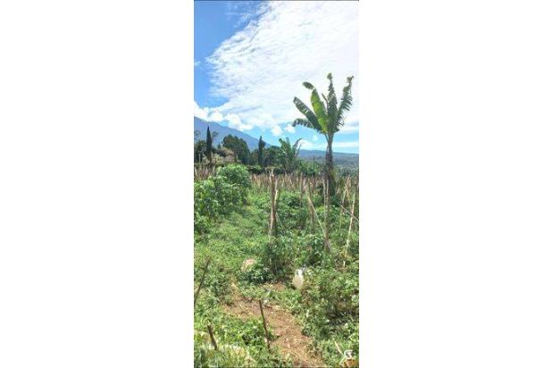 Tanah Kavling Murah 450 m² SHM Puncak Bogor