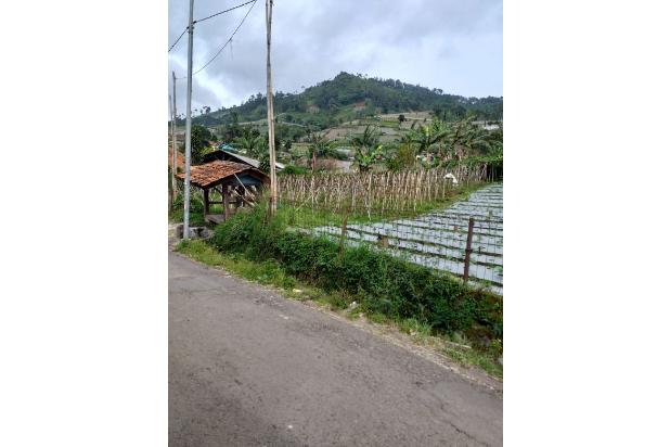 Tanah Prospektif diLembang Bandung