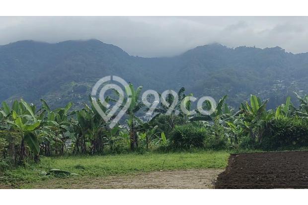 Jual tanah murah sertifikat hak milik pinggir jalan puncak