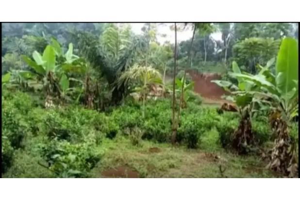 Dijual Murah BU Tanah SHM Kanoman Cibeber Cianjur Jawa Barat