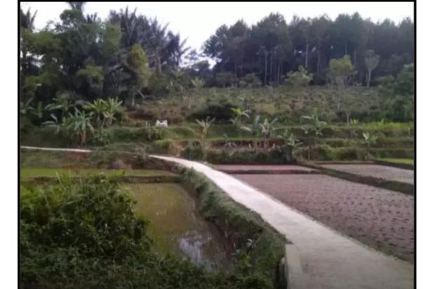 Dijual Murah BU Tanah SHM Kanoman Cibeber Cianjur Jawa Barat