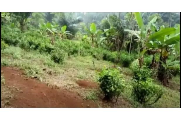 Dijual Murah BU Tanah SHM Kanoman Cibeber Cianjur Jawa Barat
