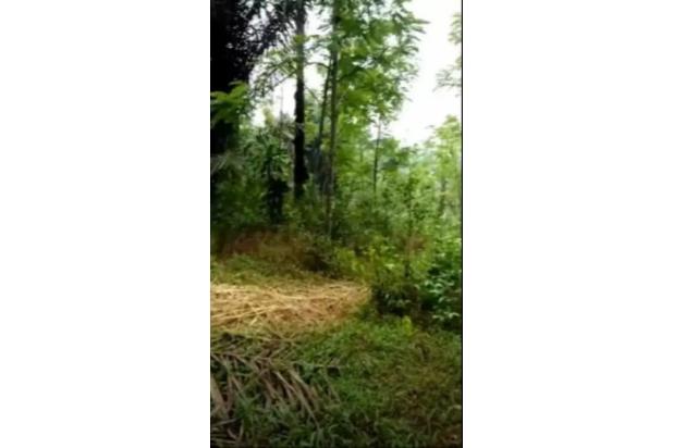 Dijual Murah BU Tanah SHM Kanoman Cibeber Cianjur Jawa Barat