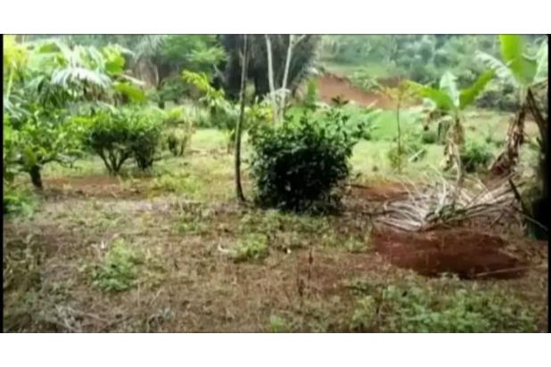Dijual Murah BU Tanah SHM Kanoman Cibeber Cianjur Jawa Barat