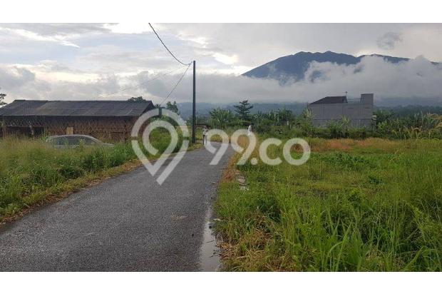 Tanah Kavling 900 Ribuan Dekat Stasiun Tol Cigombong