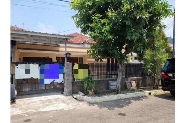 JUAL JANUR ELOK KELAPA GADING MURAH HUB 0817782111