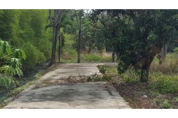 Dijual lahan Murah 1,1 Ha SHM diJl Setu Serang Cibening Bekasi