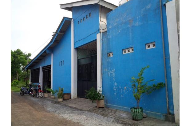 Rumah Kost Murah di Mastrip Kota Probolinggo