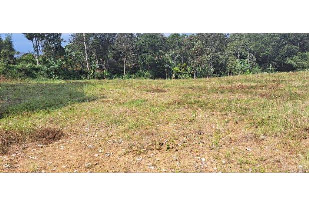 DIJUAL TANAH DENGAN PROMO BESAR BESARAN PUNCAK BOGOR