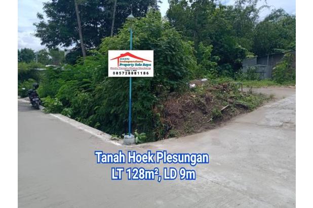 Tanah Hoek di Plesungan Karanganyar