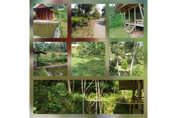 Tanah di Sayap Ciwidey Bandung
