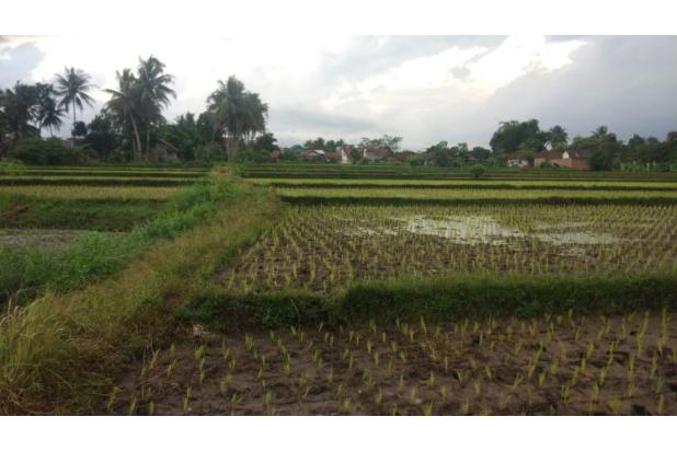 Tasik Sayap Cigeureung Nagarasari Cipedes Tasikmalaya