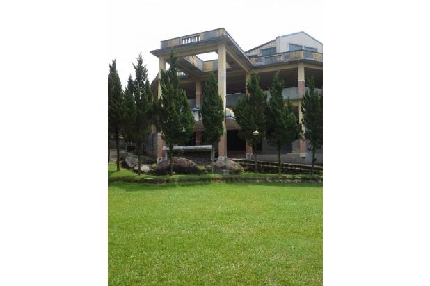 Villa Duta Kasih Trawas Kondisi Terawat Siap Pakai
