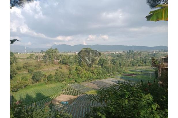 DIJUAL TANAH COCOK UNTUK VILLA DI CIKOLE LEMBANG DENGAN VIEW B