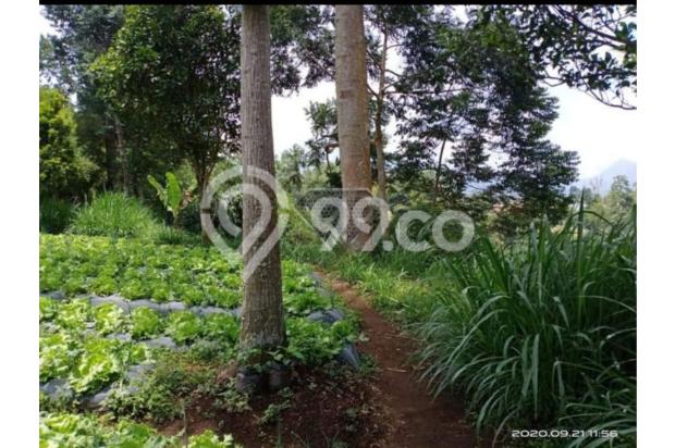 DIJUAL TANAH COCOK UNTUK VILLA DI CIKOLE LEMBANG DENGAN VIEW B