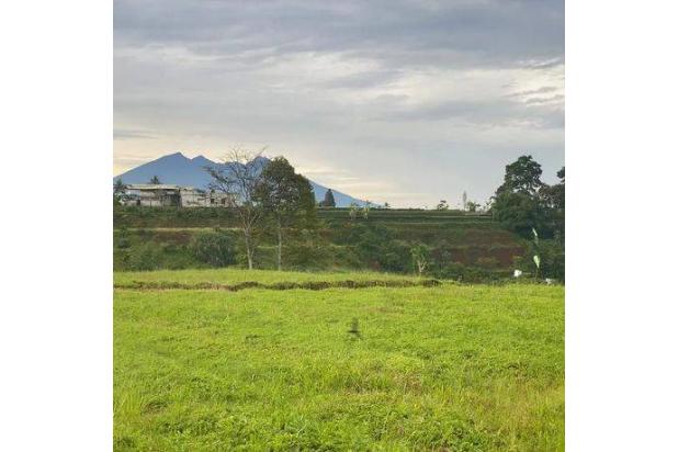 Tanah Murah Megamendung Puncak Bogor Sudah Shm