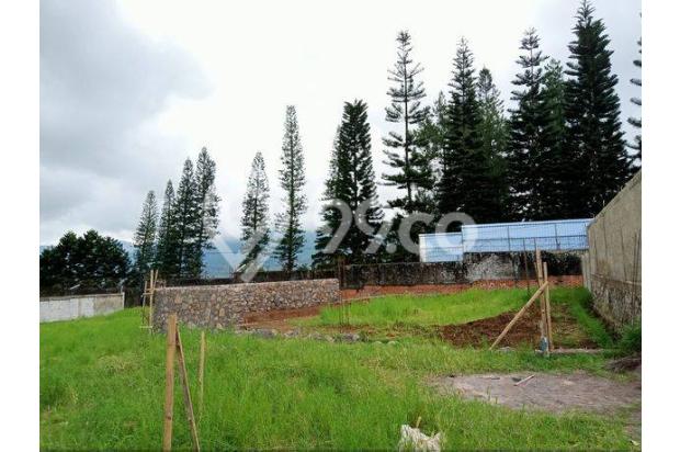 Tanah di Jalan raya cisarua puncak bogor jawa barat 213 SHM m²
