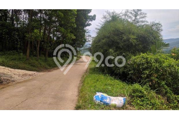 Tanah best murah SHM di Citereup Ciherang Sukamakmur 
