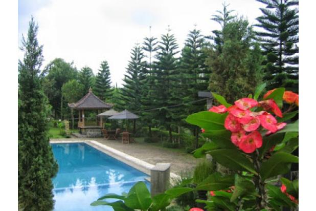 sewa villa besar puncak
