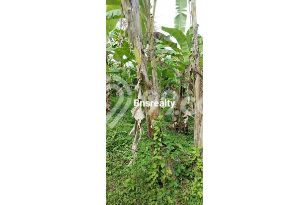 Tanah Lokasi Pandak Gede