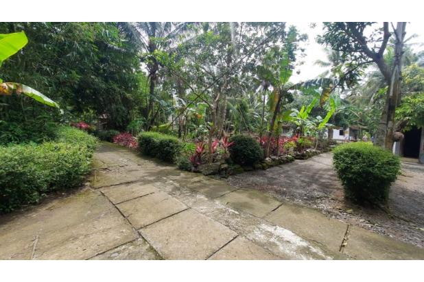 Area Bandara YIA, Layak Investasi