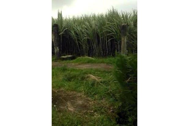 Lahan Investasi Prospektif Daerah Pakis Dekat Areal Perumahan