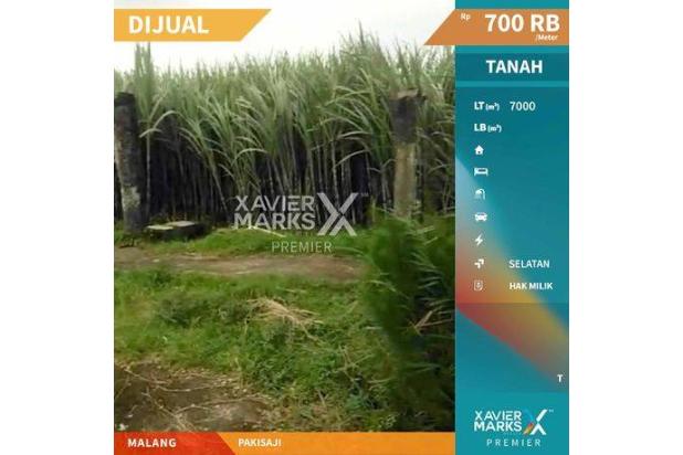 Lahan Investasi Prospektif Daerah Pakis Dekat Areal Perumahan