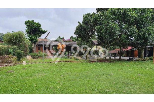 Dijual Cepat Tanah Di Ciawi Bogor Untuk Villa, Resort, Outbond Dan Hotel
