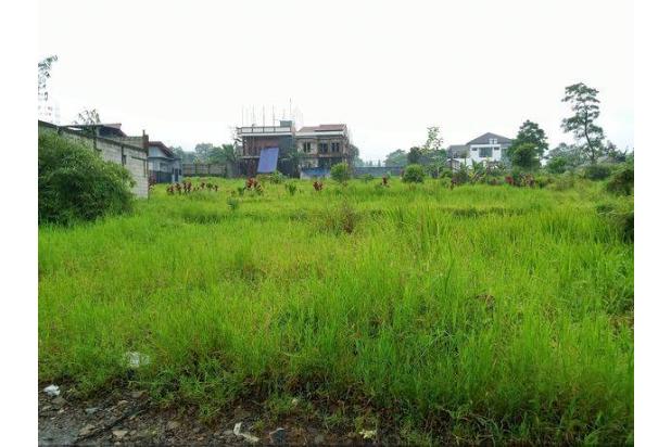 Tanah datar strategis dekat jalan alternatif taman safari 