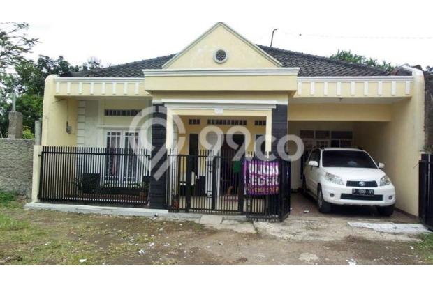 Jangan LIRIK RUMAH ini Pasti TERTARIK