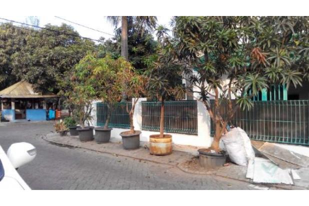 Rumah Taman Surya 3 - Hoek (Ukuran 6x18 m)