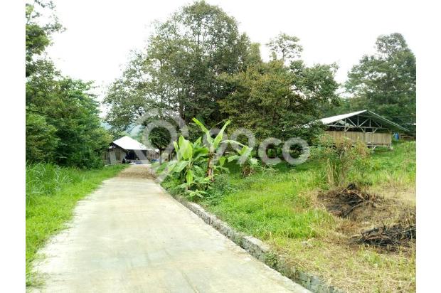 Dijual Cepat (BU) Lahan Peternakan Modern Terpadu