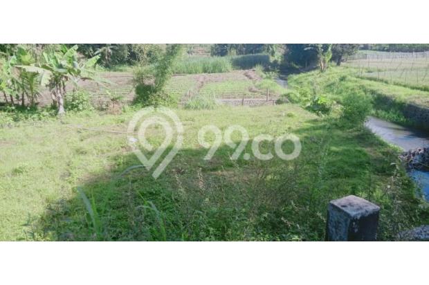 Tanah Murah dan Luas Potensial Untuk Dibangun Usaha
