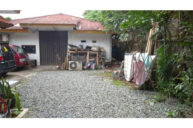 Jeruk purut, rumah tua hitung tanah, 13jt/m nego